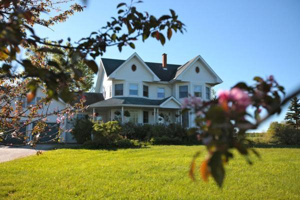 Twin Peaks B&B Mindemoya Bagian luar foto